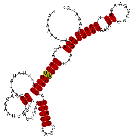secondary structure