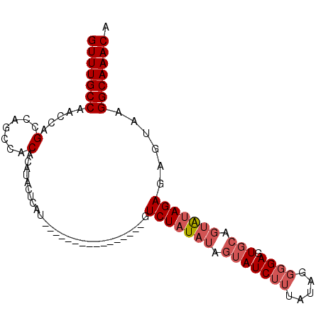 secondary structure