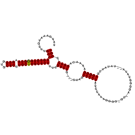 secondary structure