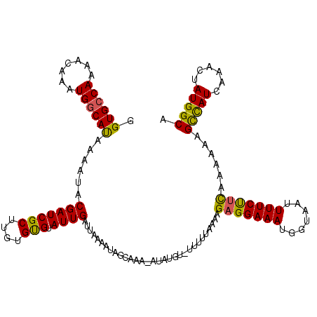 secondary structure