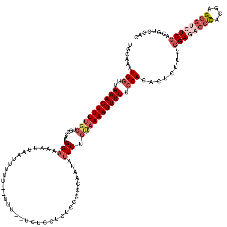 secondary structure