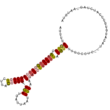 secondary structure