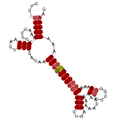 secondary structure