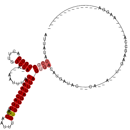 secondary structure