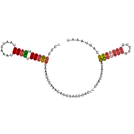 secondary structure