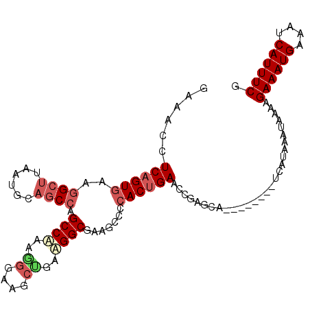 secondary structure