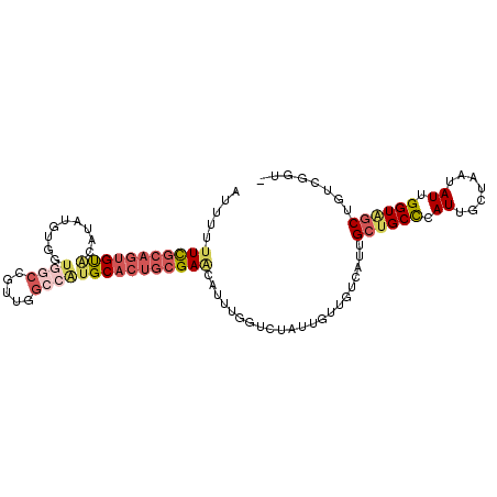 secondary structure