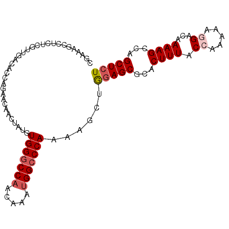 secondary structure