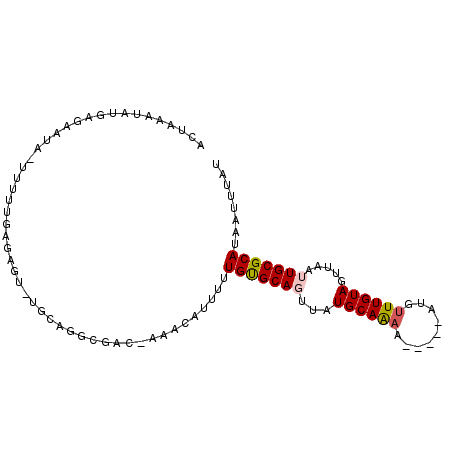 secondary structure