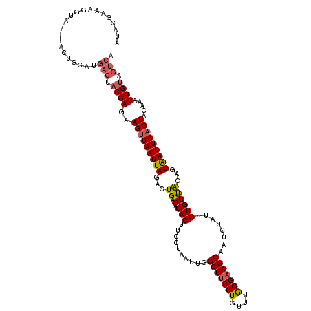 secondary structure