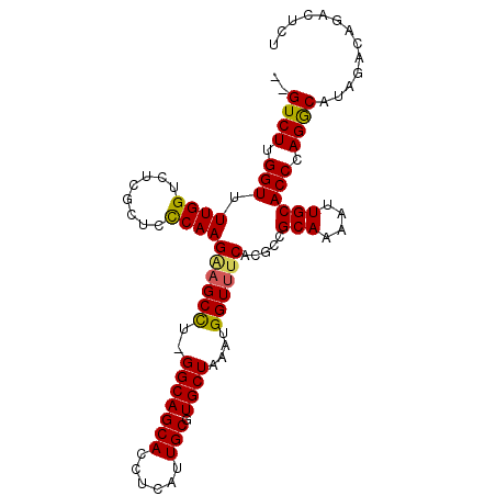 secondary structure