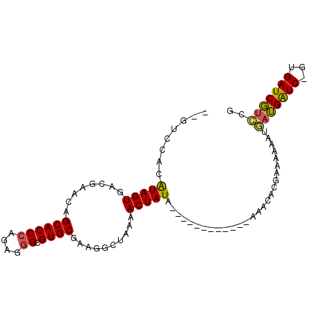 secondary structure