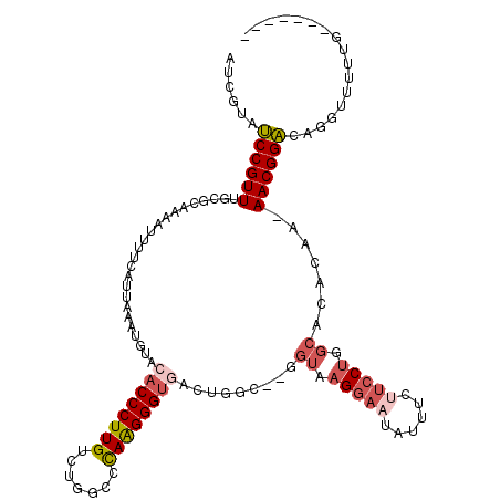 secondary structure