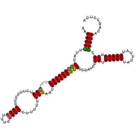 secondary structure