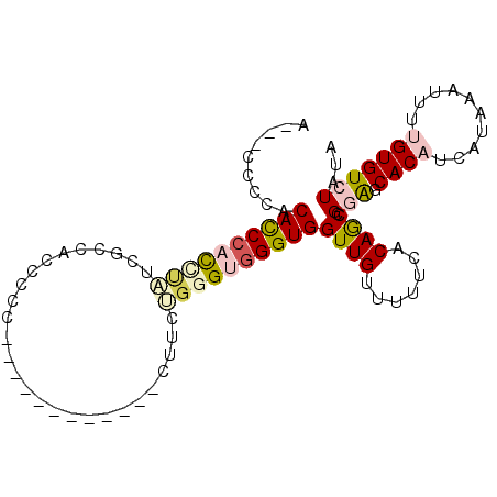 secondary structure