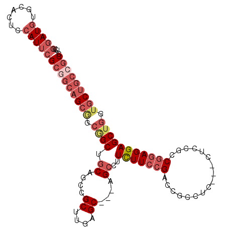 secondary structure