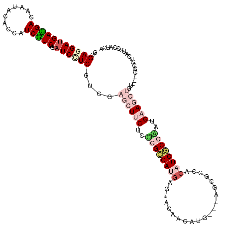 secondary structure