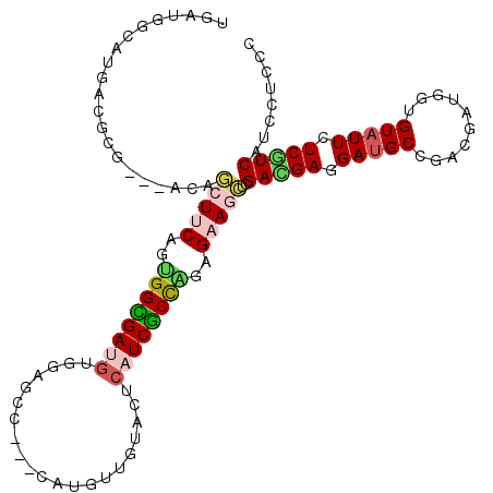 secondary structure