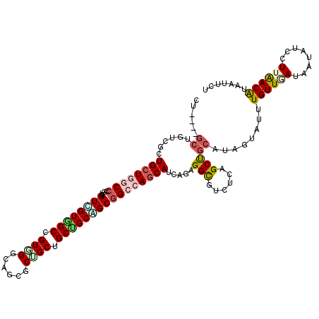 secondary structure