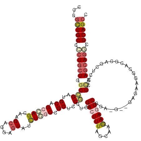secondary structure