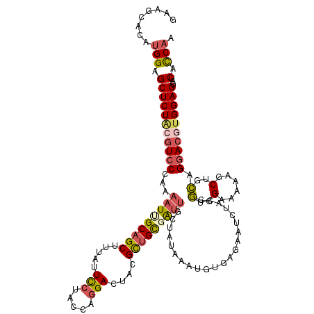 secondary structure