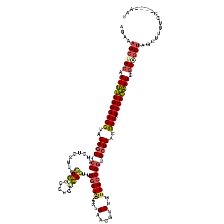 secondary structure