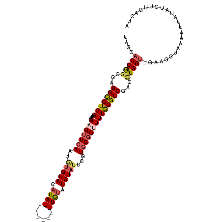secondary structure