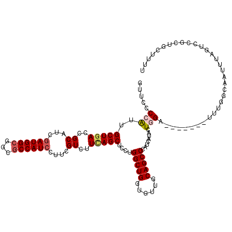 secondary structure