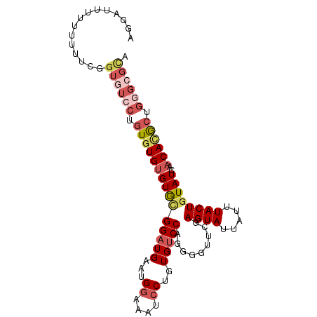 secondary structure