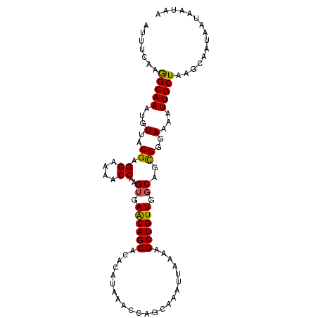 secondary structure