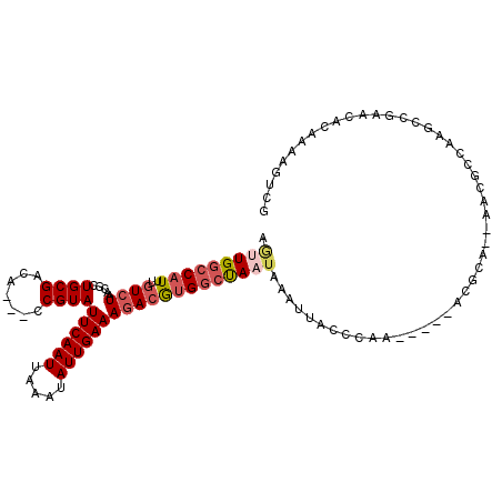secondary structure