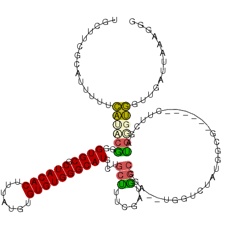 secondary structure