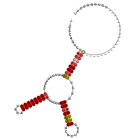 secondary structure