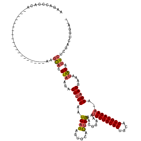secondary structure