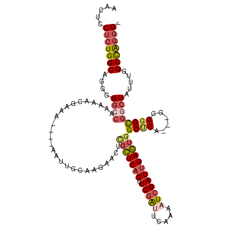 secondary structure