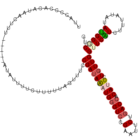 secondary structure