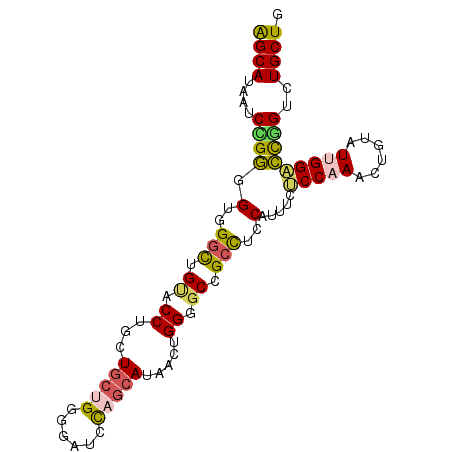 secondary structure
