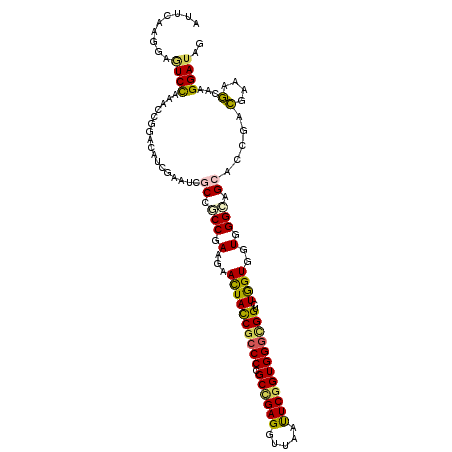secondary structure