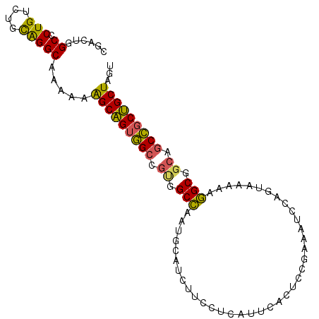 secondary structure