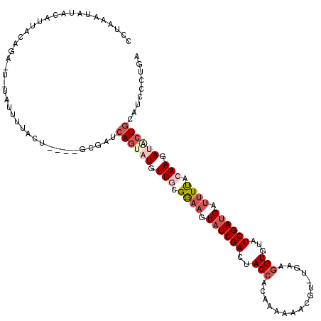 secondary structure
