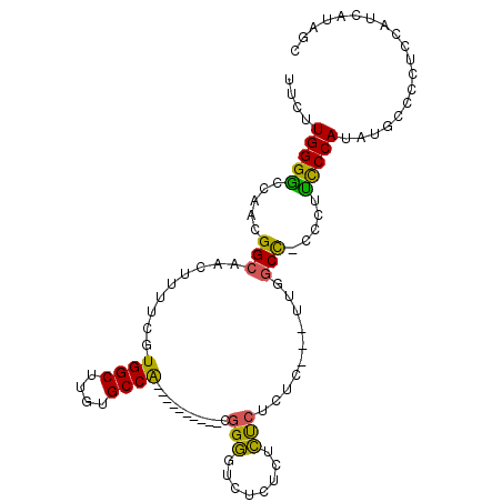 secondary structure
