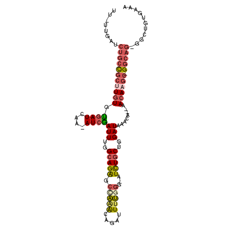 secondary structure