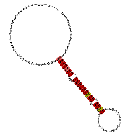 secondary structure