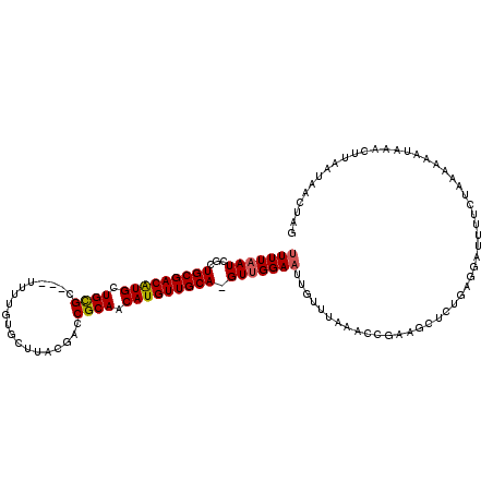 secondary structure