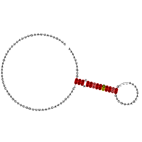 secondary structure