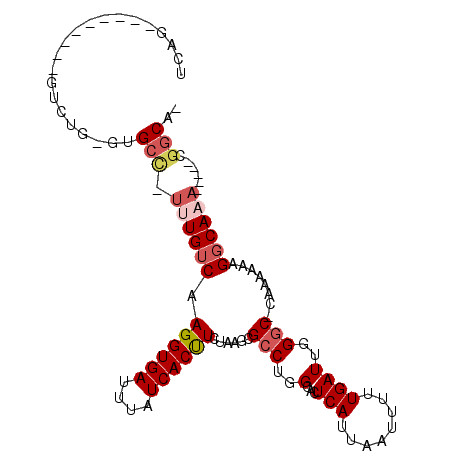 secondary structure