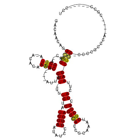 secondary structure