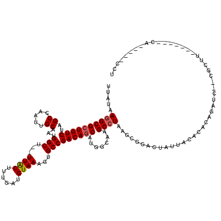 secondary structure