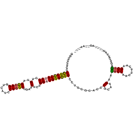 secondary structure