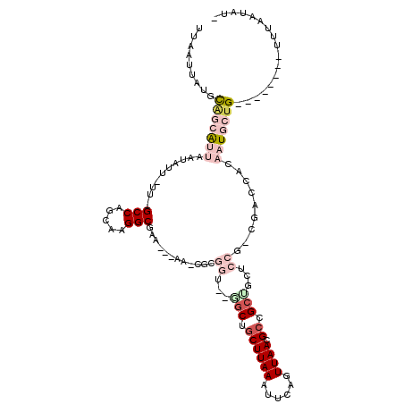 secondary structure
